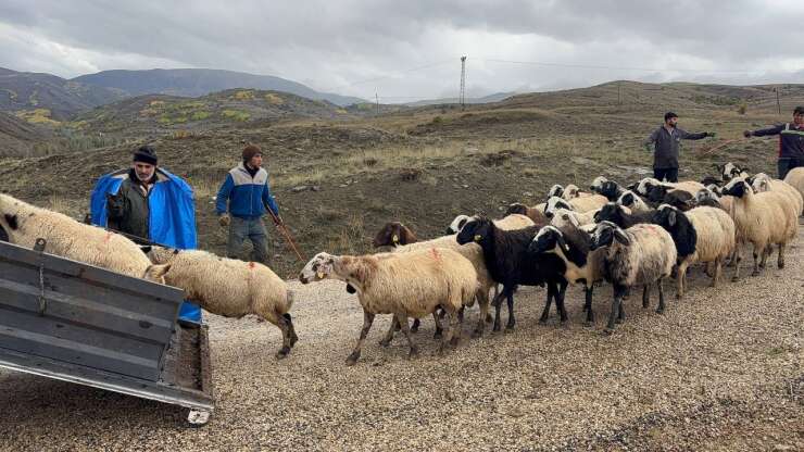 Erzincan’da yayla sezonu sona erdi, dönüş yolculuğu başladı