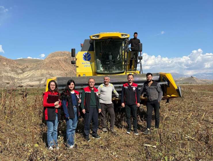 Erzincan’da ayçiçeği hasadında dane kaybına sıkı denetim