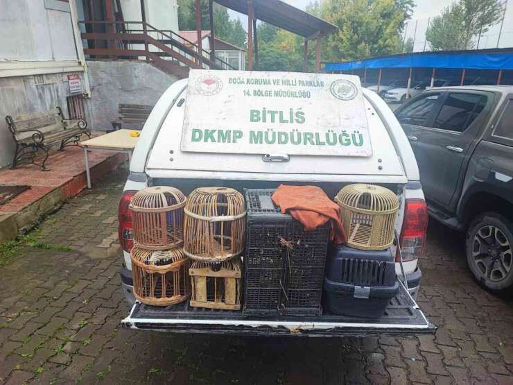 Bitlis’te kaçak avlanmış canlı keklikler doğaya salındı