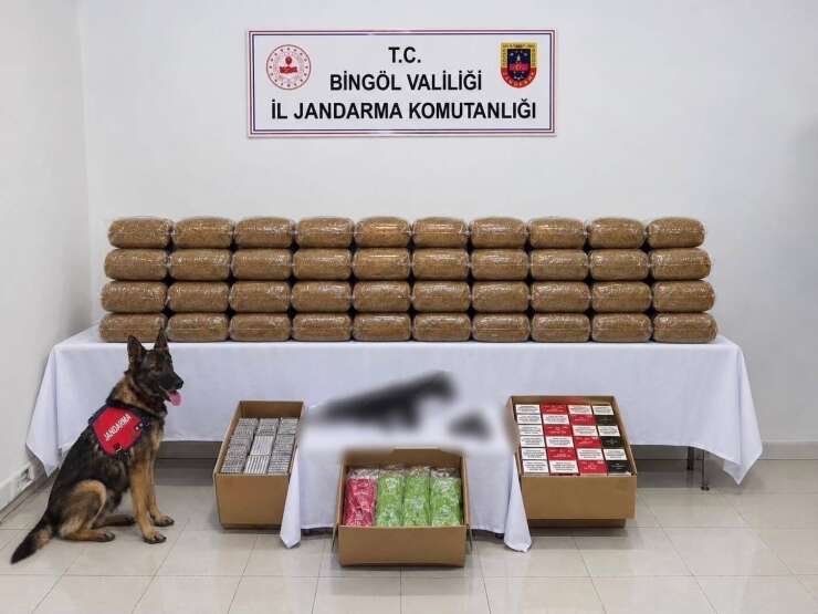 Bingöl’de kesinleşmiş hapis cezası bulunan 4 şüpheli yakalandı