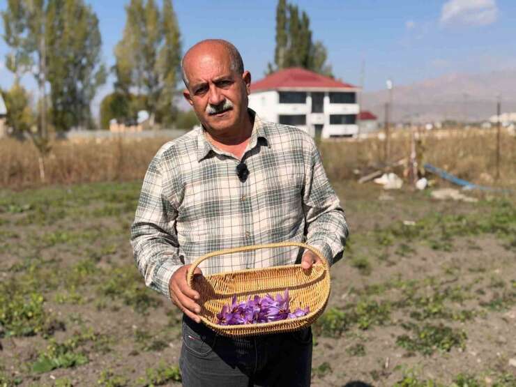 Esnaflığı bıraktı, tarlada serveti buldu: Kilosu 1 milyon lirayı bulan "kırmızı altın" hayatını değiştirdi